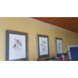 A set of three Limited Edition Coloured Prints Still Life of Flowers.