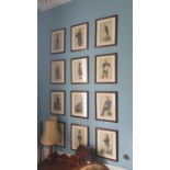 A good set of 19th Century Vanity Fair Prints of stately Gentlemen in later frames. (12 hanging