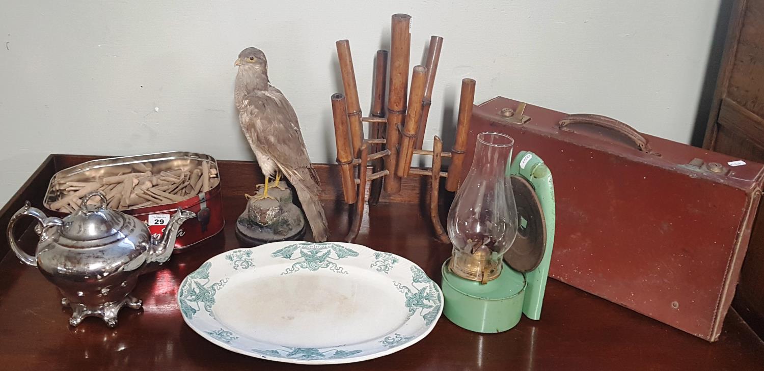 A good quantity of Vintage Items to include a Taxidermy of a bird by Williams & Sons ,Dame St