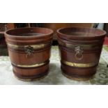 A lovely pair of 19th Century Mahogany Peat Buckets with lions head lifting handles. H 32.5 Diam.