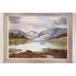 A 20th Century Oil on Board of Glenveagh Donegal by W R Knox. Signed LR.