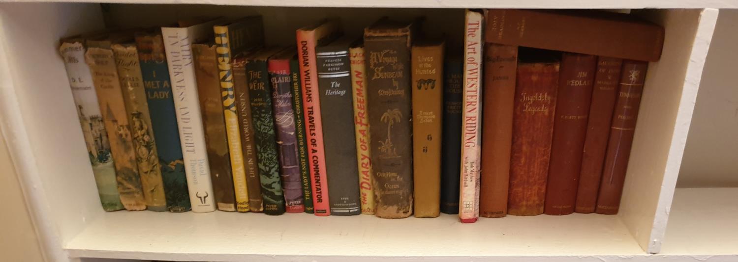 A quantity of Books on one compartment shelf.