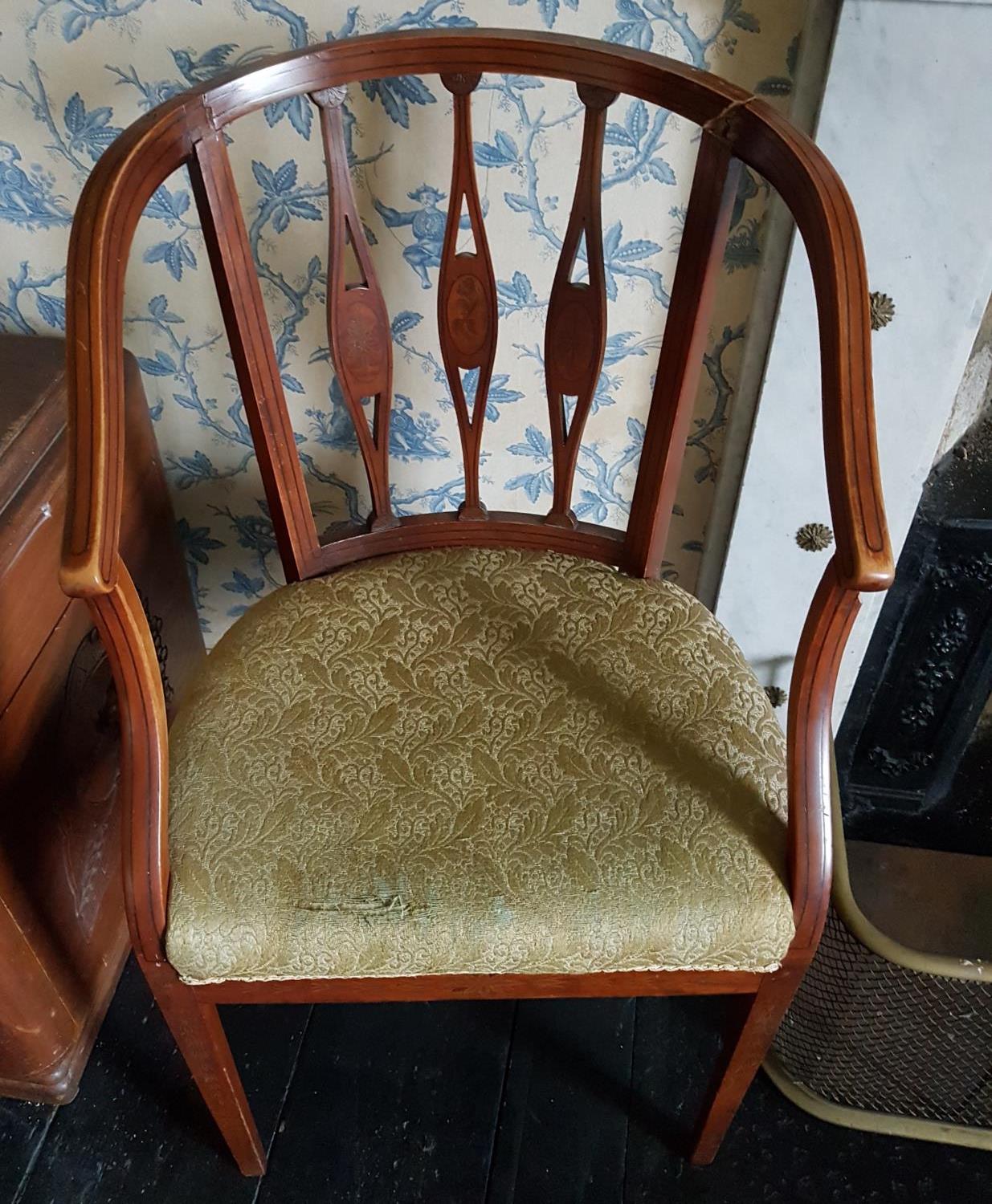 A set of three late 19th Century Satinwood Tub Chairs with ebony inlay on square supports. - Image 6 of 6