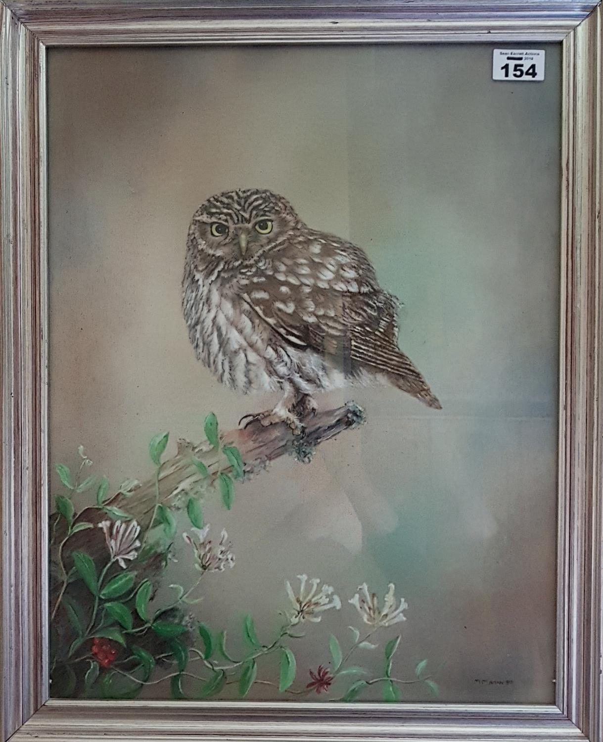 An Oil on Board of an Owl by M Madian. Signed LR.