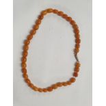An Amber beaded Necklace.