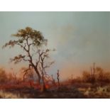 A 20th Century Oil on Panel of a forest burning. Signed E Forlee and dated LL. 50cm.