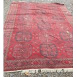 A large Burgundy ground Rug with faults. 319 x 240cm.