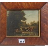 A 19th Century Oil on Panel of cattle watering. In a birds eye maple frame.
