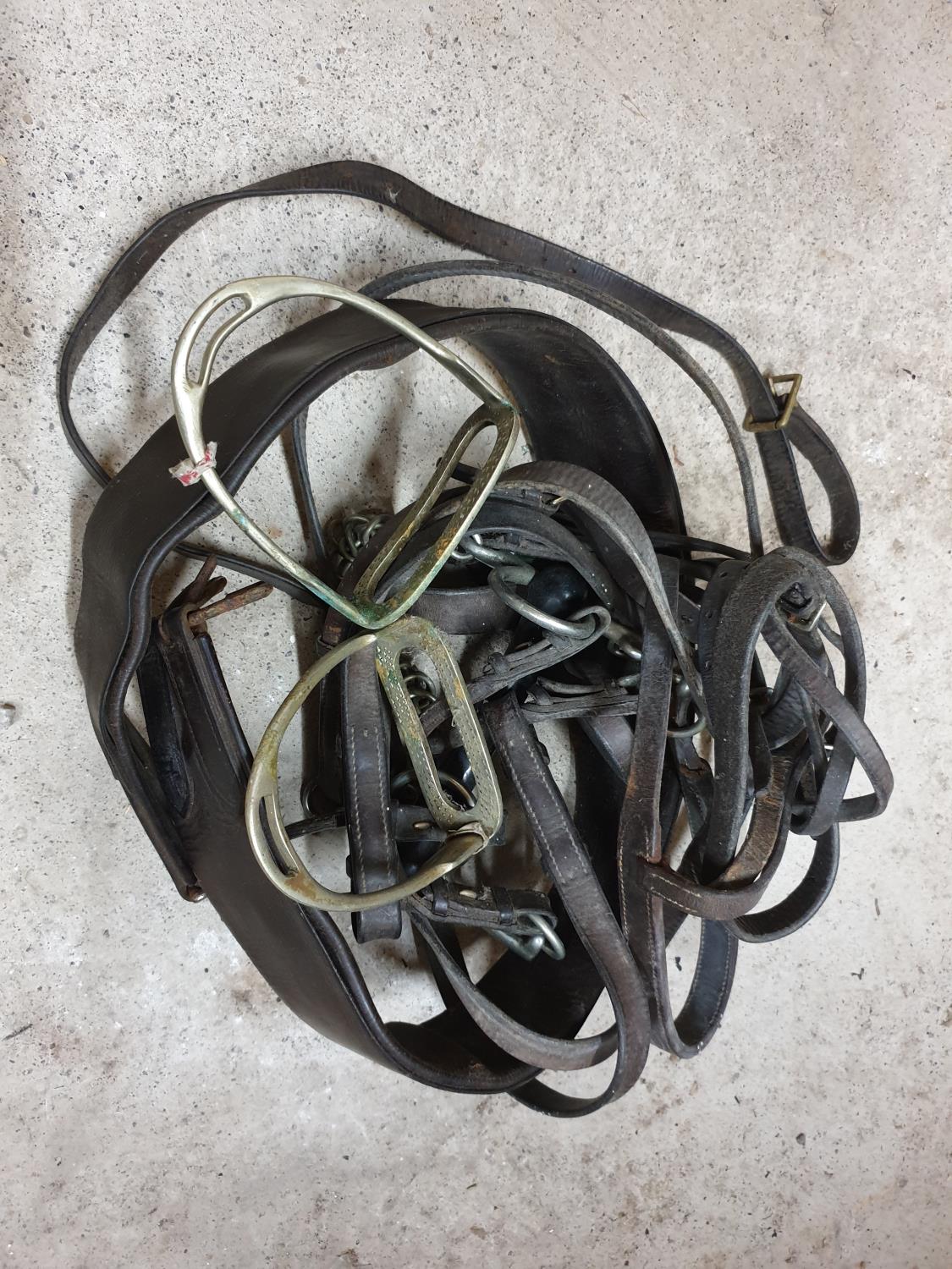 A quantity of Horse Tack. - Image 2 of 2