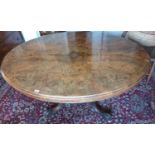 A 19th Century Walnut and Burr Walnut Oval Supper/Loo Table. L135 x W103cm.
