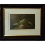 A pair of 19th Century Oils on Board Still Life of Nests by George Harris. Signed LL.