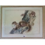 A 20th Century Watercolour of a Stoat. Signed LR.