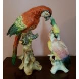 Two lovely hand painted Figures of Parrots. Larger Parrot is 33cm. Smaller Parrot is 28cm.