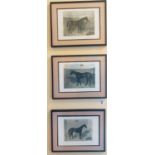 A group of three Coloured Prints of Racehorses along with a Hunting Hound Print from the Tate