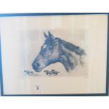 'Hill Prince'. An original 20th Century Engraving signed by R H Palenske. LR.