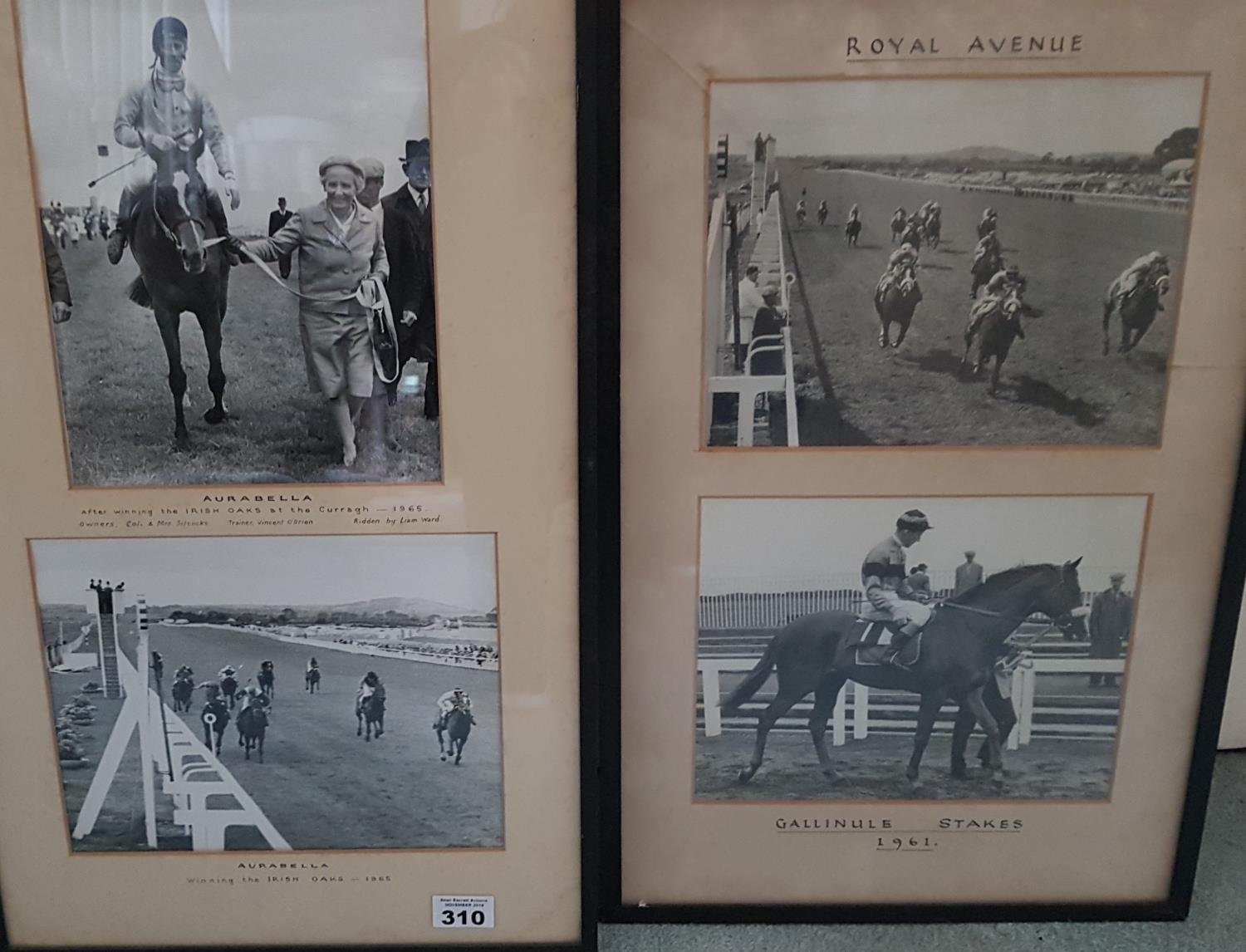 Royal Ave. Gallinule stakes 1961. along with a good group of vintage photographs.