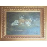 A 20th Century Oil on Board of Kittens. Signed Sharma.