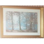 A large 20th Century Coloured Print of a wooded landscape by David Shepherd. In a good frame.