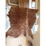 A very large Cow Hide.