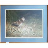 A Watercolour study of a Woodcock by Richard Ward. Signed LR. Painted for the Vendor by the