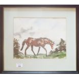 A Modern Watercolour of a Horse. Probably by Brid Ni Rinn.