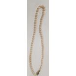 A good cultured pearl Necklace with a gold and diamond clasp.