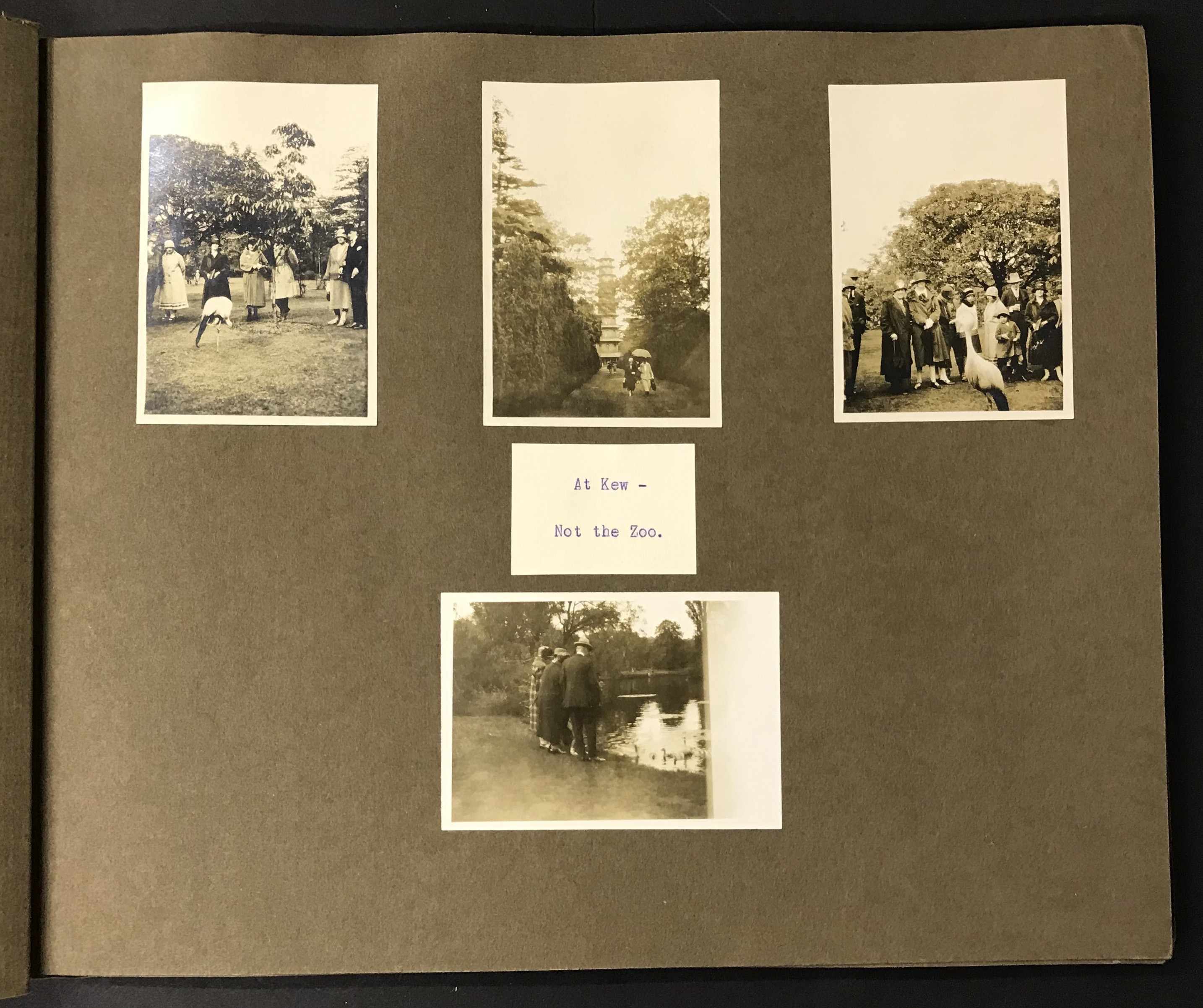 COLLECTION OF MIXED ANTIQUE AND VINTAGE PHOTOGRAPHS FROM VARIOUS SOURCES - Image 6 of 22