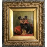 Bessie Bamber active 1900-1910 British. Oil on board. “Portrait of a Terrier”