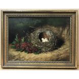Ben Hold. British. Oil on canvas. “Still Life of Birds Nest and Primroses”