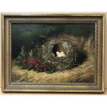 Ben Hold. British. Oil on canvas. “Still Life of Birds Nest and Primroses”. Signed lower left.