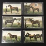 SET OF SIX OLD UNUSED POSTCARDS BY B & D LONDON - KROMO SERIES PRINTED IN SAXONY - HORSES