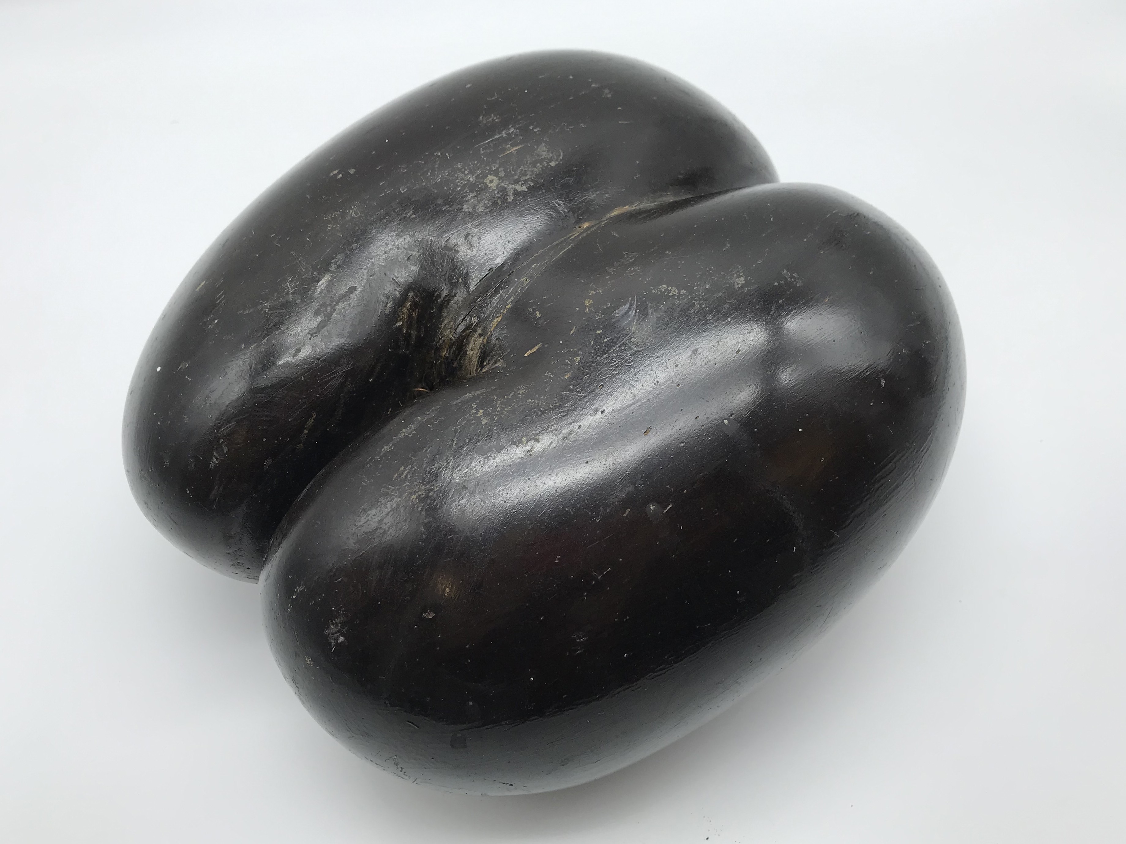 COCO DE MER NUT SEED POLISHED