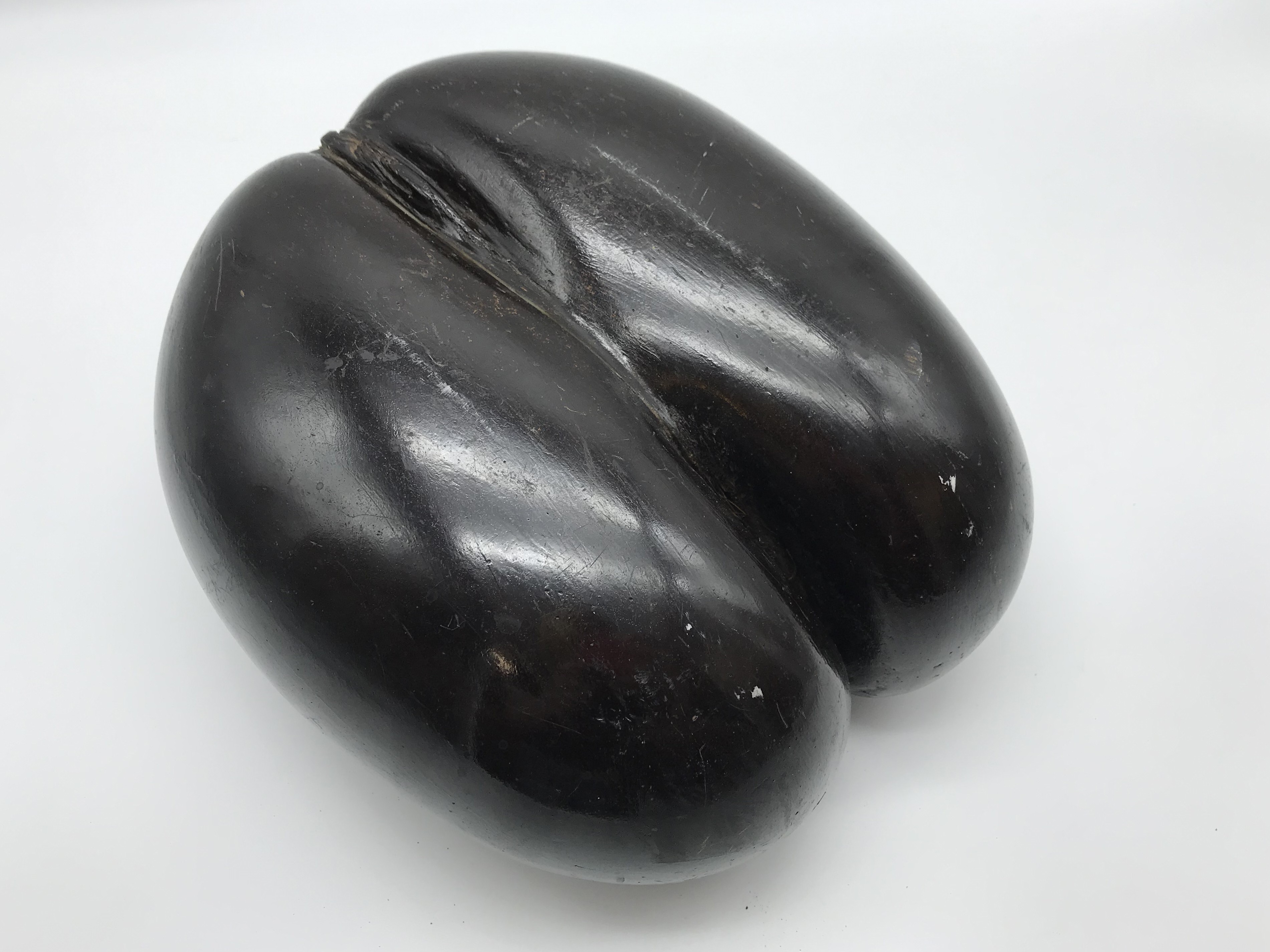 COCO DE MER NUT SEED POLISHED - Image 2 of 4