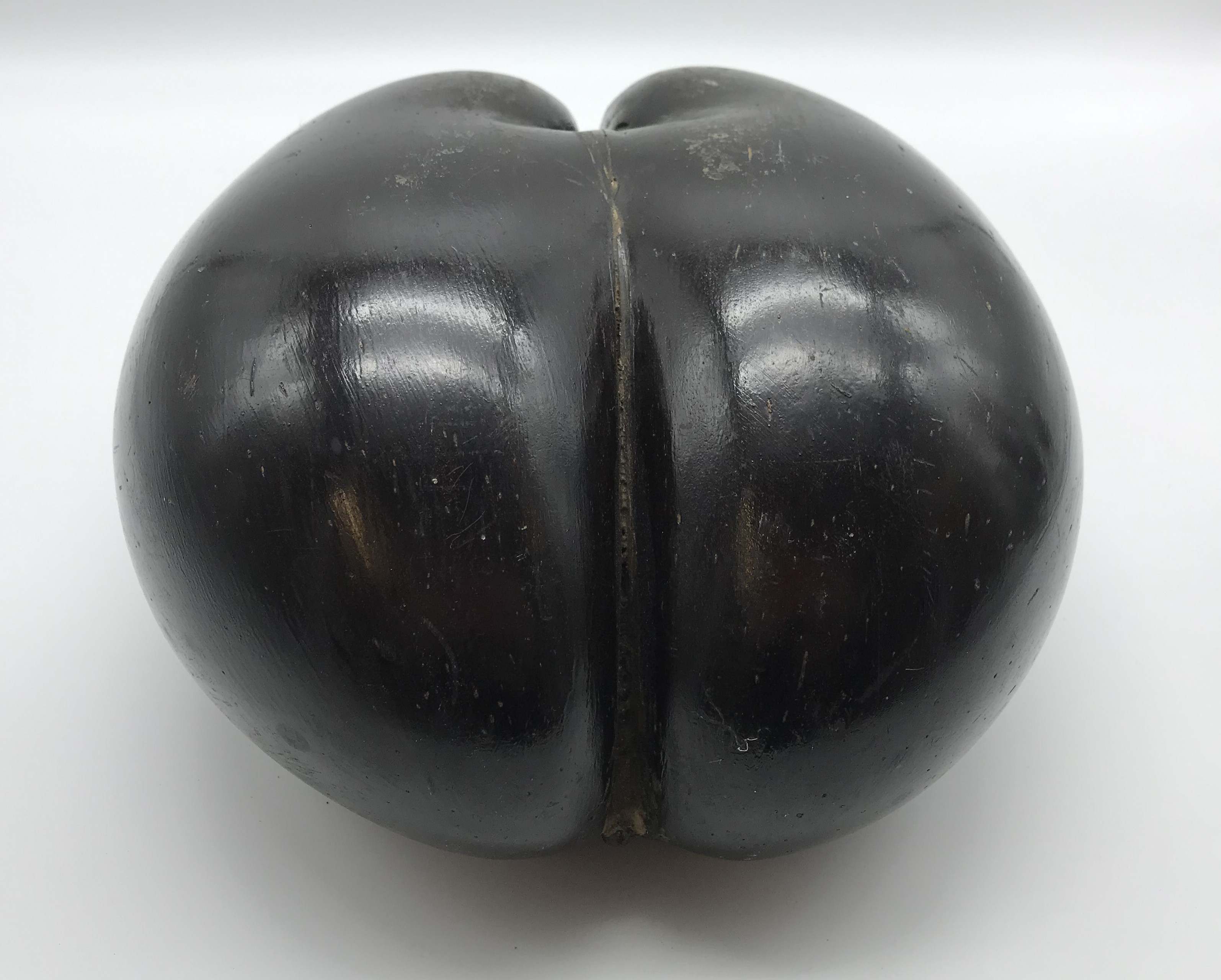 COCO DE MER NUT SEED POLISHED - Image 4 of 4