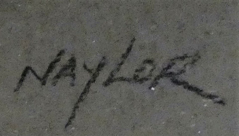 John Naylor (b.1960 - ), "Mallard", pastel, signed lower right hand corner, 29 x 42 cm, mahogany - Image 2 of 3