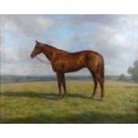Walter Goodin (1907 - 1992), Huntsman horse with bridle, probably Middleton Hunt, oil on board,