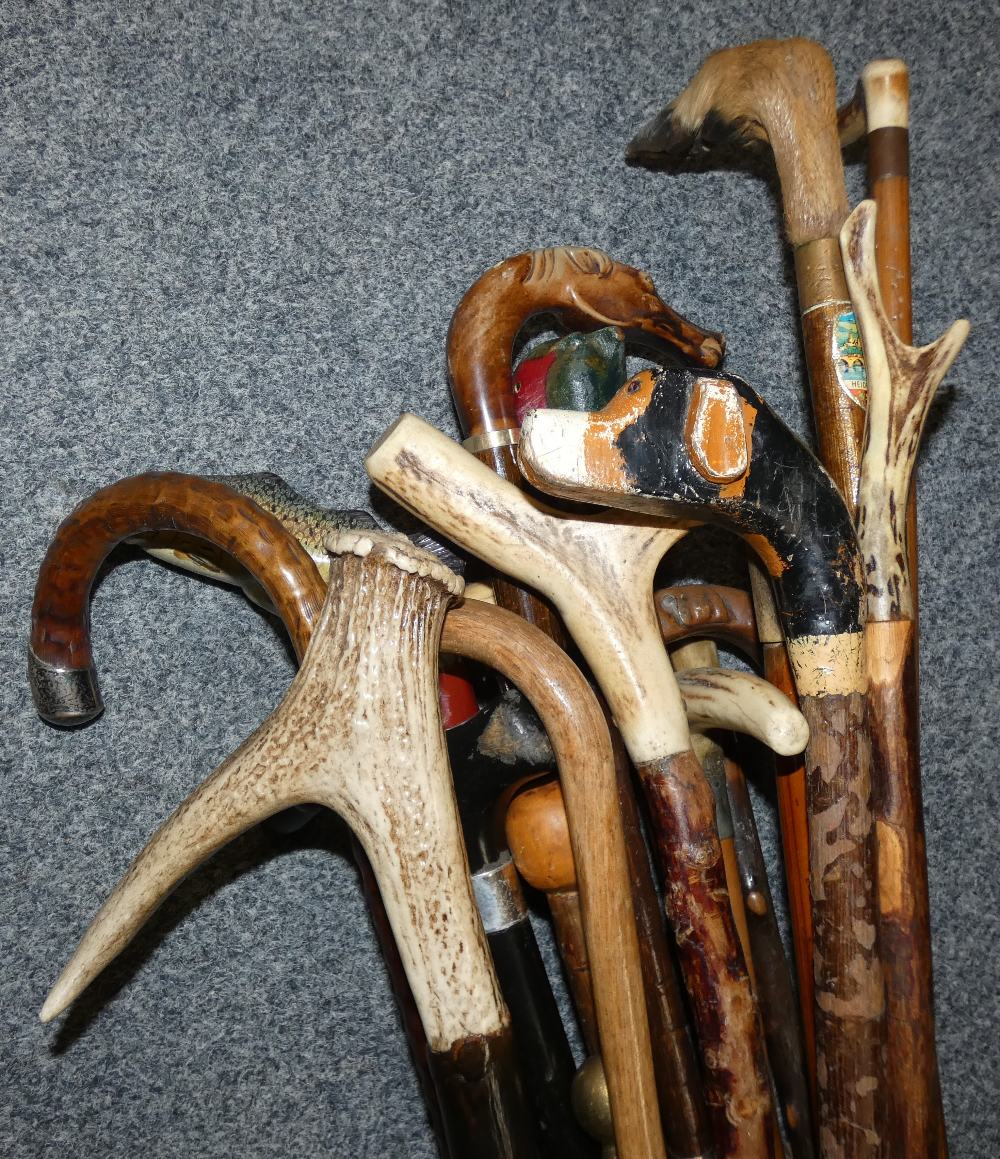 A quantity of walking sticks and canes - Image 2 of 3