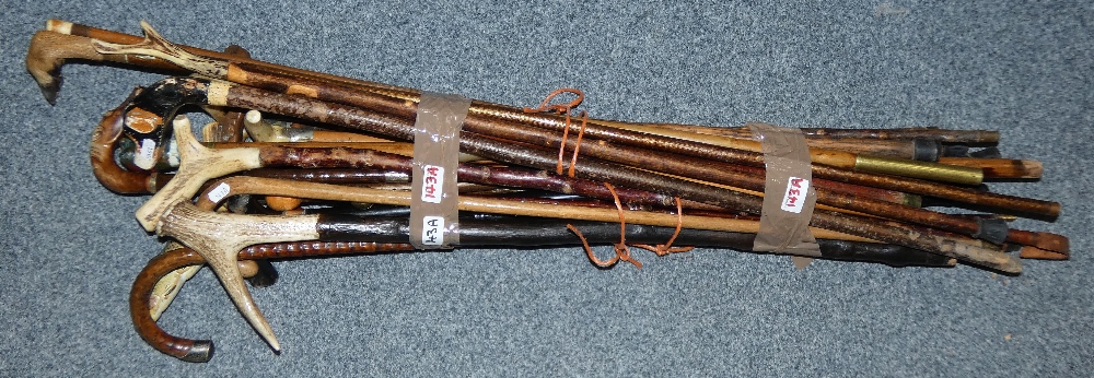 A quantity of walking sticks and canes