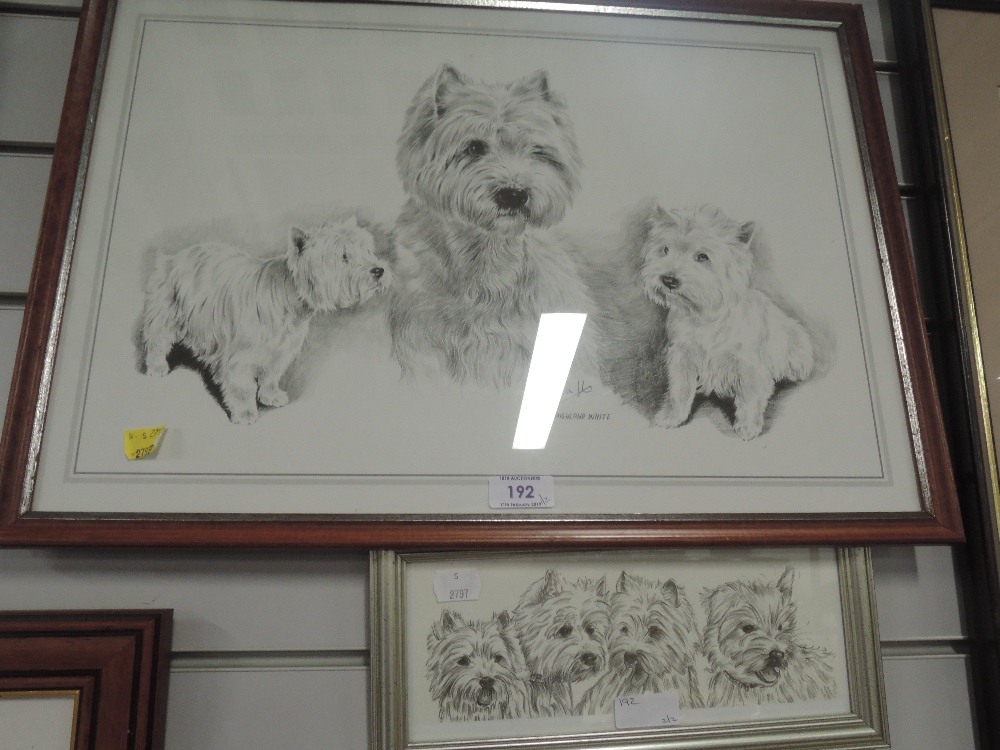 Two print of highland terrier dog