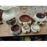 A selection of Devon motto ware including tea pot