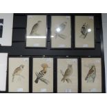 A selection of full colour prints relating to birds and ornithology