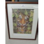 A limited run print of tiger and culb