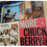 A lot of rare UK Blues / R'n'B albums by John Lee Hooker , Muddy Waters and more - some really