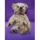 A modern Steiff bear, Sebastian, having growling mechanism, limited edition 321/2000 with cert,