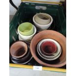 A selection of plant pots including teracotta