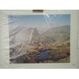 A local lakeland interest print after J Burrows signed limited run depicting Rosthwaite fell