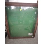 A felt lined glass fronted display case