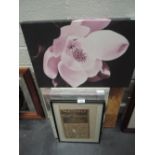 A selection of printed canvas including floral