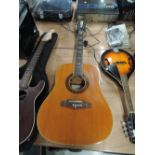 A vintage EKO 12 string acoustic guitar