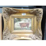 A vintage antique reproduction style print of bull in gilt and plaster frame